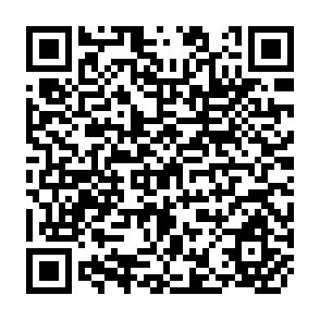 QR Code for Land Policy
