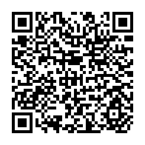 QR Code for Shaum's outline of Theory and problems of Plane and Spherical Trigonometry
