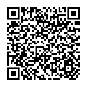 QR Code for The Equality Issue in World Development