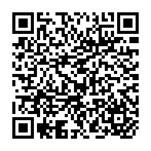 QR Code for Handbook of research design and social measurement