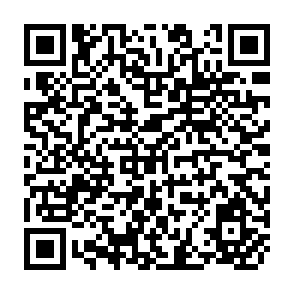 QR Code for Charisma Stability and Change