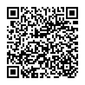 QR Code for The government and control of libraries