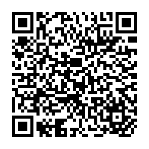 QR Code for Handbook of Evalution Research