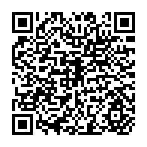 QR Code for Socialisms and Development
