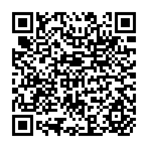 QR Code for Peasant of Society in a Changing Economy