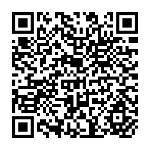 QR Code for The Vanishing Peasant