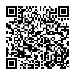 QR Code for Critical Sociology
