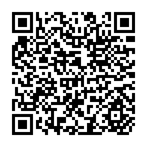 QR Code for Understanding Organizations