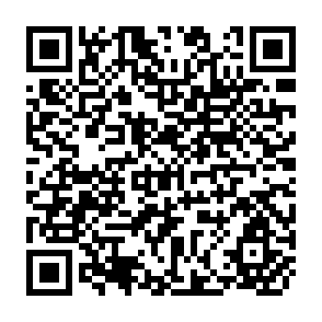 QR Code for Price Theory