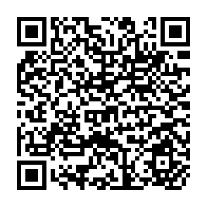 QR Code for Income Redistribution and the Transfer Problem