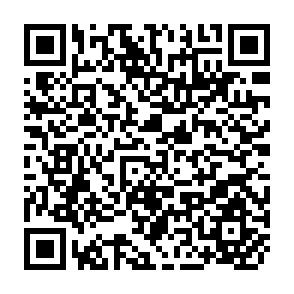 QR Code for A Two Sector Model For Inflation and Unemployment in a SmallOpen Economy