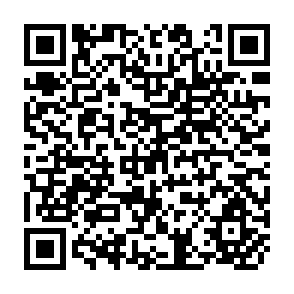 QR Code for Economic Effects in Developing Countries of Donar-Imposed Conditions on Foreign Aid