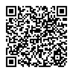 QR Code for Wages and Incomes of Agricultural Workers in Ghana