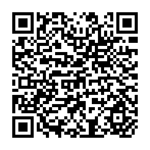QR Code for Shaum's outline of Theory and problems of first yeaar College Mathetics