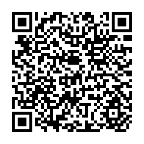 QR Code for Shaum's outline of Theory and problems of Differential Equations