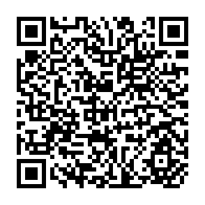 QR Code for Shaum's outline of Theory and problems of College Algebra