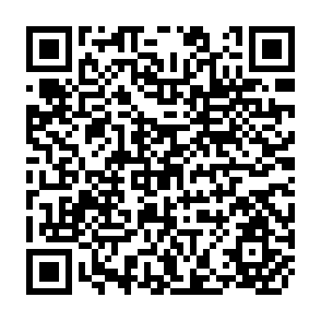 QR Code for Eggs: Situation and Outlook