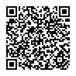 QR Code for Eggs: Situation and Outlook
