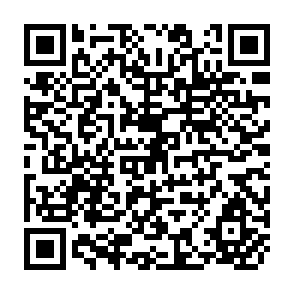 QR Code for Meat: Situation and Outlook