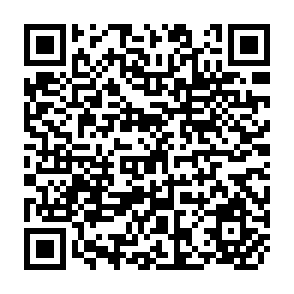 QR Code for Meat: Situation and Outlook