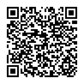QR Code for Dairy Products: Situation and Outlook