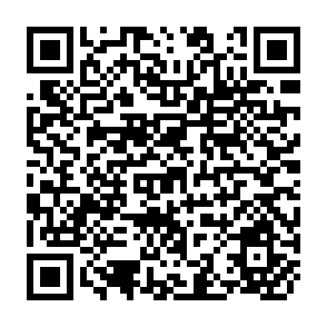 QR Code for Education: Structure and Society
