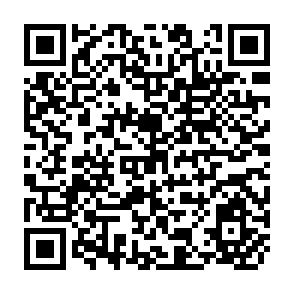 QR Code for The Anatomy of Decisions