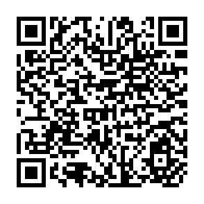 QR Code for The Economic of Capital Budgeting