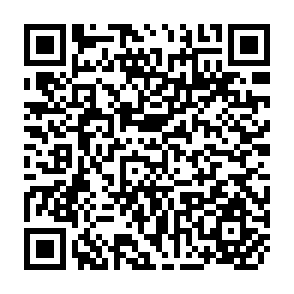 QR Code for What is History?