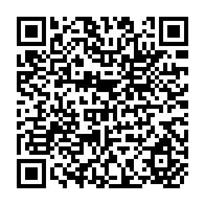 QR Code for Social Anthropology in Perspective