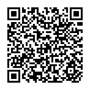 QR Code for The Modernization of the Agricultural Sector and Rural-Urban Migration in Colombia