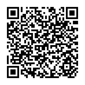 QR Code for Technological Change and Inocme Distribution in Latin American Agriculture