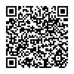 QR Code for On the Practice and Theory of Affluence and Poverty: Some Reflections