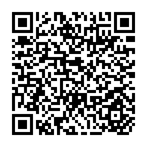 QR Code for I.S.S Occasional Papers