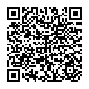 QR Code for Benefit Monitoring As a Component of Integrated Rural Area Development Project Design