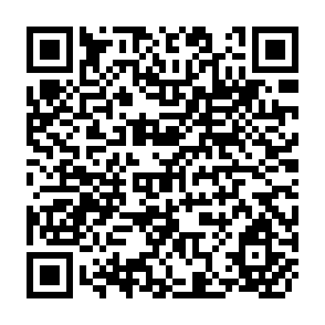 QR Code for Economic consequences of a land reform in Brazil