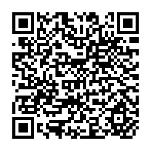 QR Code for Two Papers on Pharmaceuticals in Developing Countries