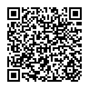 QR Code for Agriculture, Food and Nutrition Sciences Division- The First Five Years
