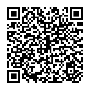 QR Code for Agriculture, Food and Nutrition Sciences Division- The First Five Years