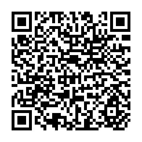 QR Code for Agriculture, Food and Nutrition Sciences Division- The First Five Years