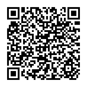QR Code for The Hacienda system and agrarian reform in highlabd Bolivia: A re-evaluation