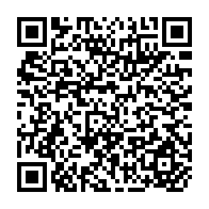 QR Code for Expert Consultations on Policies and Institutions for Integrated Rural Development - Volume I