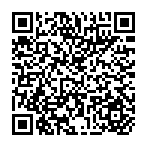 QR Code for Expert Consultations on Policies and Institutions for Integrated Rural Development - Volume I