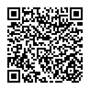 QR Code for Joint Report on the Expert Consultations on Policies and Institutions for Integrated Rural Development