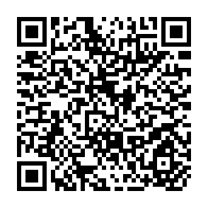 QR Code for Joint Report on the Expert Consultations on Policies and Institutions for Integrated Rural Development