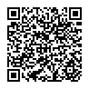 QR Code for An Empirical model of Individual and Household Migration Choice:Phillippines