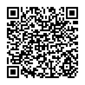 QR Code for Rethinking Anthropology