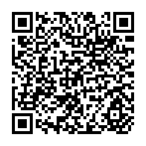 QR Code for Leading Issues in Economic Development