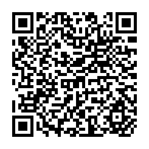 QR Code for The Sociology of the Third World - Disparity and Involvemnet