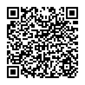 QR Code for Development form Below- Local Government and Finance in Developing Countries of the Commonwealth